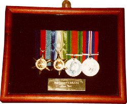Medal Frame