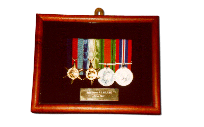 medal frames