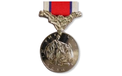 hors de combat medal - in the line of duty